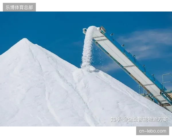 物流作业调度权限分散,致使核心场馆物资周转出现严重拥堵 物流作业调度权限分散,致使核心场馆物资周转出现严重拥堵